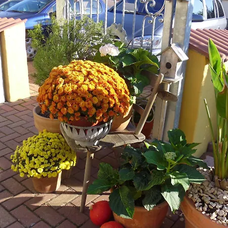 & Gaestehaus Im Ziegelweg Klimatisiert Eintrittskarten Fuer Den Europa-park Erhalten Sie Garantiert Ueber Uns