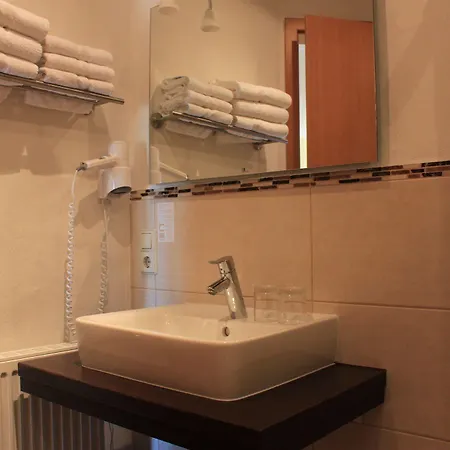 Hotel&gästehaus Im Ziegelweg Garni 3* Rust